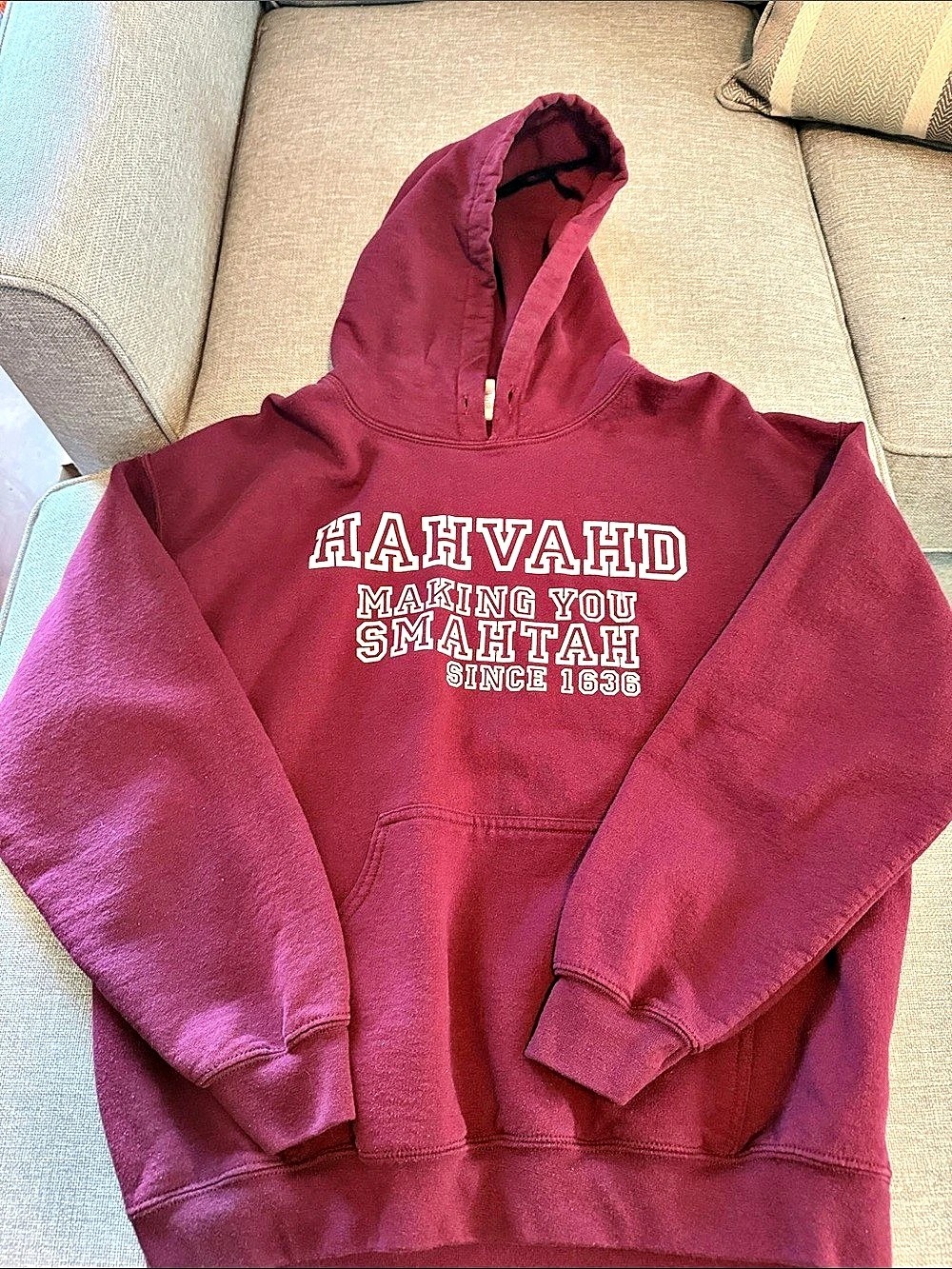 Gildan Heavy Blend Hahvahd Making You Smahtah Hoodie Size Large